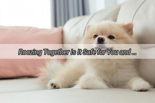 Roozing Together Is It Safe for You and Your Pooch to Enjoy Carrots Side by Side